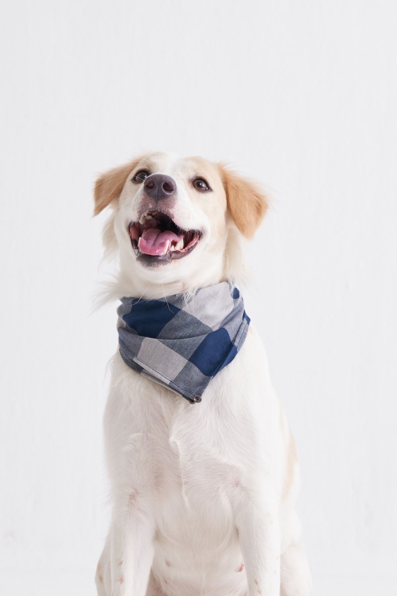 Bandana - navy checks - Three