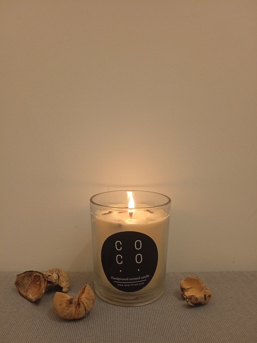 Coco Candle - Blueberry and Clove - Three